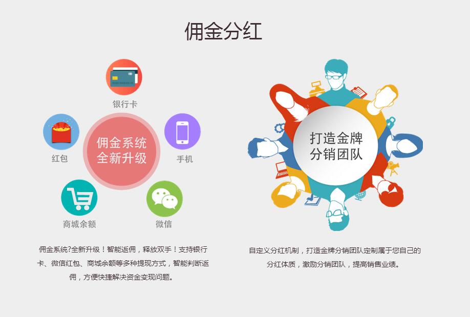 企业网站开发建设，做一送10