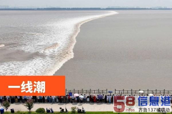 苏州青少年三六六社会实践探索钱塘江大潮自然奥秘研学旅行活动 苏州青少年三六六社会实践探索钱塘江大潮自然奥秘研学旅行活动
