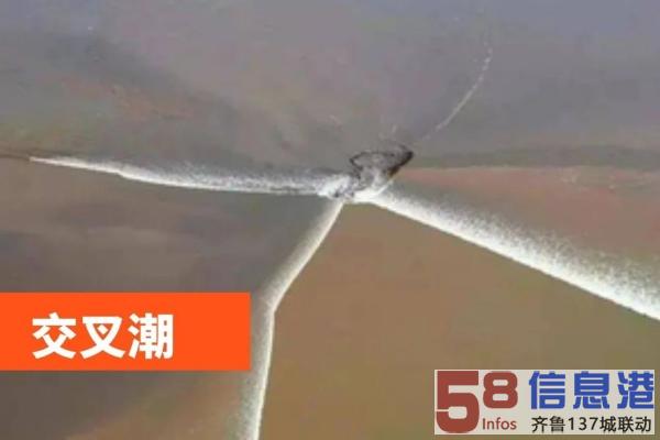 苏州青少年三六六社会实践探索钱塘江大潮自然奥秘研学旅行活动 苏州青少年三六六社会实践探索钱塘江大潮自然奥秘研学旅行活动